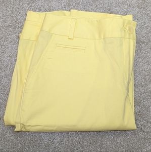 NWT Talbots Chino Shorts